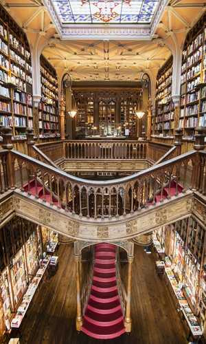 Bájate en las atracciones, museos y monumentos de Oporto con un tour en autobús con paradas libres – Paradas prácticas y visita panorámica en 2026