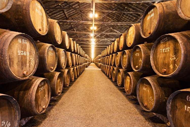 Experiências inesquecíveis em Porto – Tours guiados, excursões, degustações e aventuras locais autênticas em 2026